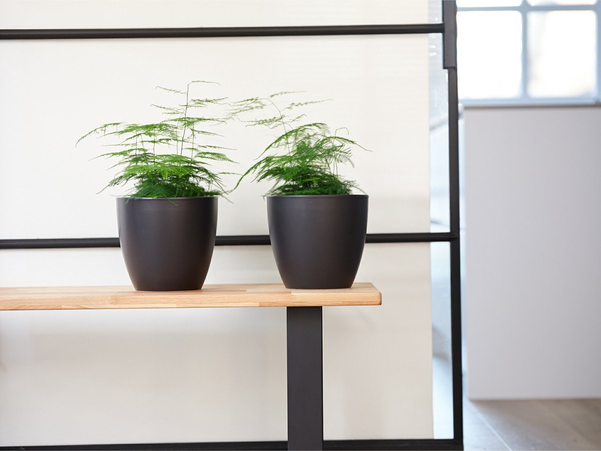  Plantenpot/bloempot In Een Strakke Scandinavische Look Zwart Dia 20 Cm En Hoogte 19 Cm Glanzend