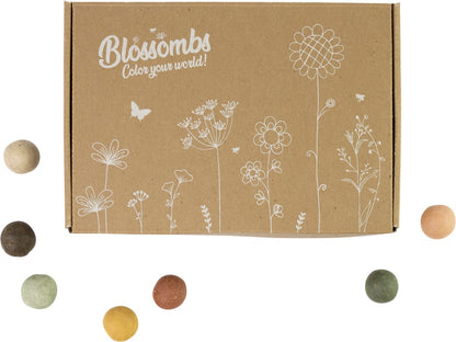  Blossombs Giftbox Small - 7 Blossombs - Bloembommetjes - Zaadbommetjes - Vlinders - Bijen - Biologisch - Ecologisch - Verjaardag - Communie - Doopsuiker - Valentijn