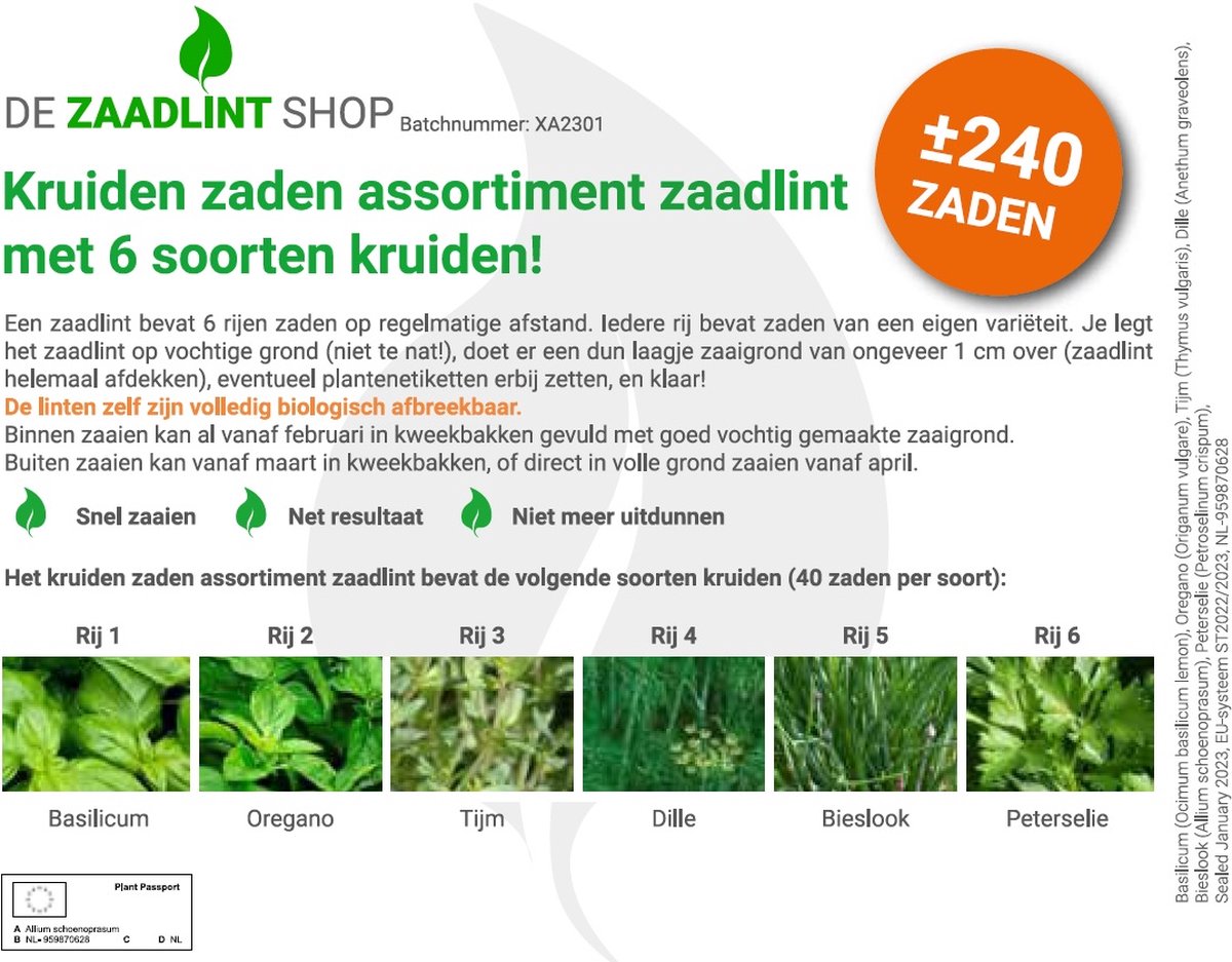  Kruiden Zaden Assortiment Zaadlint (basilicum Zaden, Oregano Zaden, Tijm Zaden, Dille Zaden, Bieslook Zaden, Peterselie Zaden)