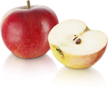  Elstar Appelboom -Fruitboom- 120 Cm Hoog- Laagstam- Potgekweekt- Professioneel Telersras