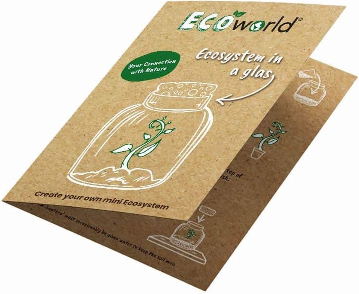 Ecoworld Vleesetende Planten Mix - DIY Ecosysteem Plant Set - 3 Vleesetende Planten - Met Terrarium Plant Venus Vliegenval Zonnedauw En Trompetbekerplant - Inclusief Substraat - Grond - Mos