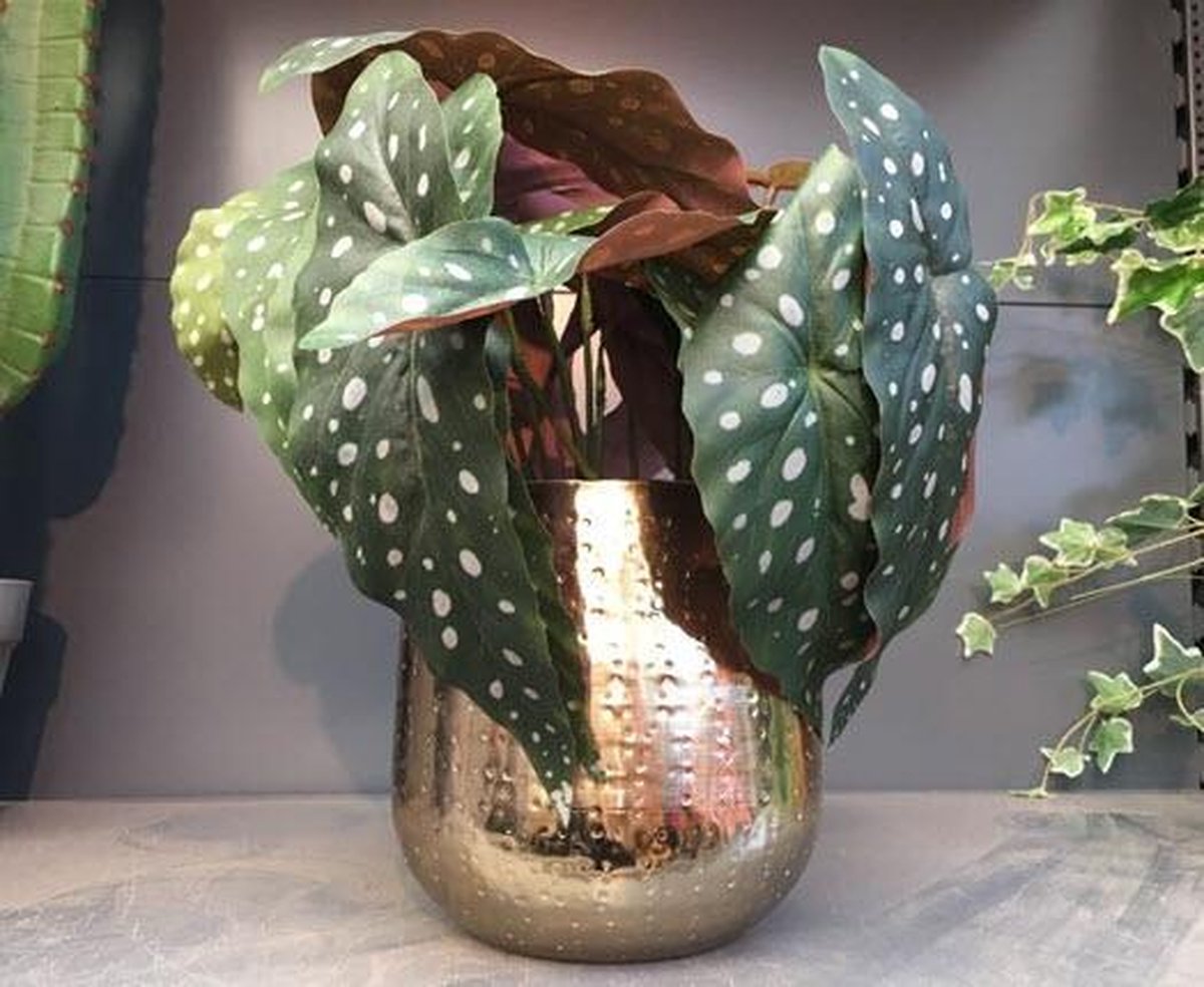  Gina Da Bloempot Karakter Goud - XL