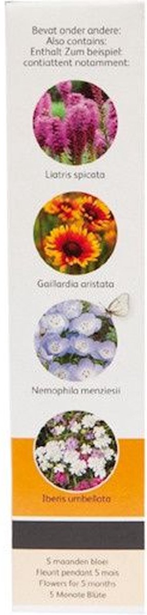  Buzzy Friendly Flowers Bloemenmengsel Vlinders 15m²