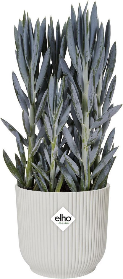  Elho Vibes Fold Rond Wielen 35 - Bloempot Voor Binnen - Ø 34.9 X H 32.4 Cm - Zijdewit
