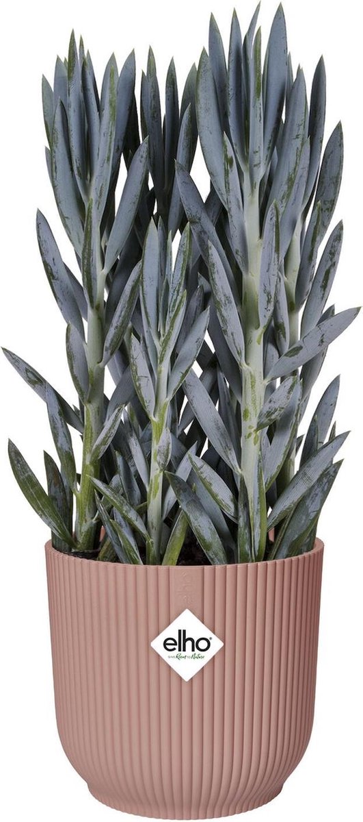  Elho Vibes Fold Rond Wielen 35 - Bloempot Voor Binnen - Ø 34.9 X H 32.4 Cm - Delicaat Roze