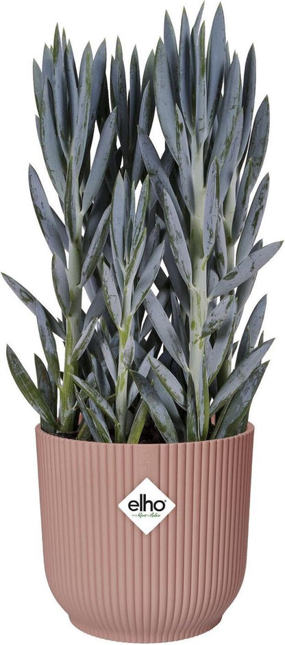  Elho Vibes Fold Rond Wielen 35 - Bloempot Voor Binnen - Ø 34.9 X H 32.4 Cm - Delicaat Roze