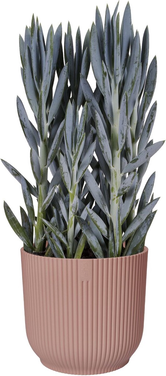  Elho Vibes Fold Rond 25 - Bloempot Voor Binnen - Ø 25.0 X H 23.0 Cm - Delicaat Roze