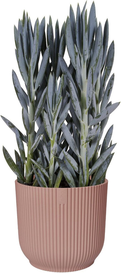  Elho Vibes Fold Rond 25 - Bloempot Voor Binnen - Ø 25.0 X H 23.0 Cm - Delicaat Roze