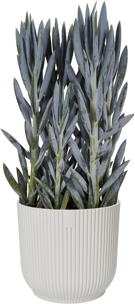  Elho Vibes Fold Rond 30 - Bloempot Voor Binnen - Ø 29.5 X H 27.2 Cm - Zijdewit