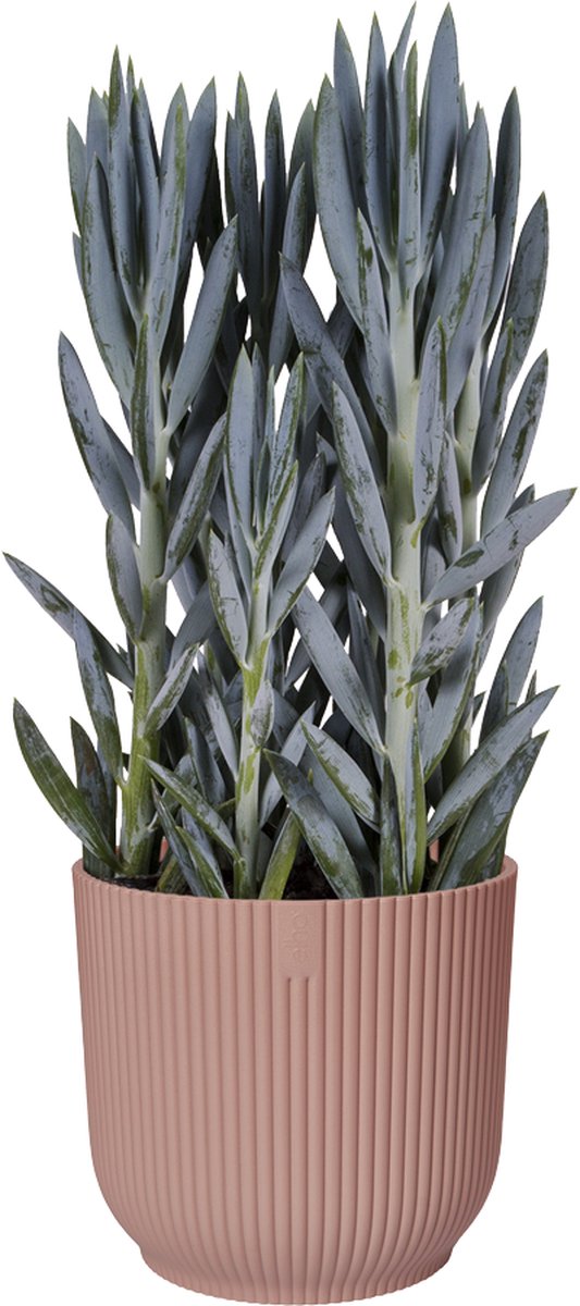  Elho Vibes Fold Rond Wielen 35 - Bloempot Voor Binnen - Ø 34.9 X H 32.4 Cm - Delicaat Roze