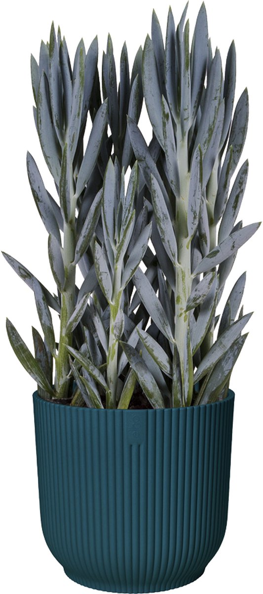  Elho Vibes Fold Rond Wielen 35 - Bloempot Voor Binnen - Ø 34.9 X H 32.4 Cm - Diepblauw