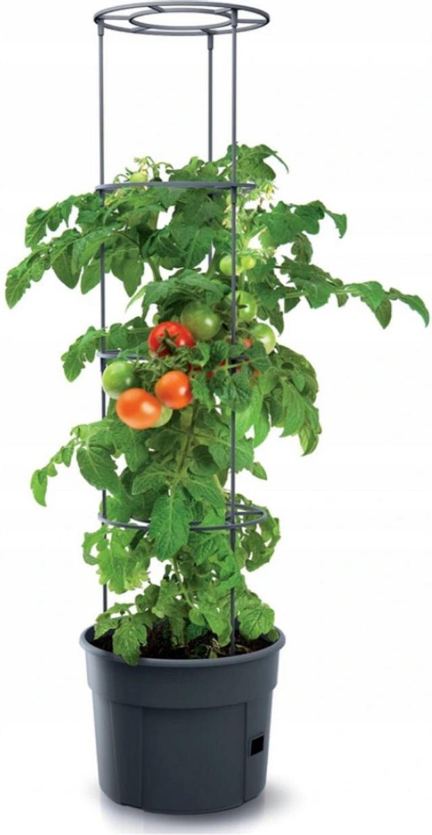  TOMATENPOT VOOR HET KWEKEN VAN TOMATEN PROSPERPLAST 28L