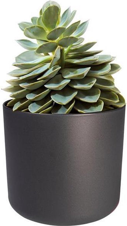  Elho B.for Soft Rond 35 - Bloempot Voor Binnen - Ø 34.5 X H 32.3 Cm - Antraciet