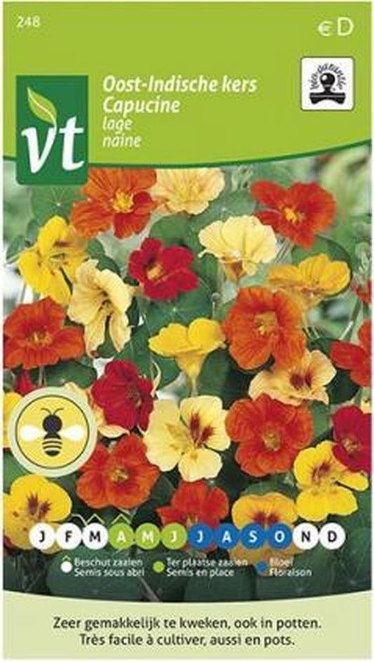  Oost-Indische Kers Lage Bio, Heel Makkelijk Te Kweken En Veelzijdige Plant Met Eetbare Bloemen En Blad