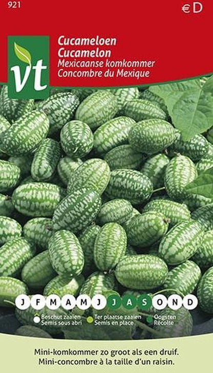  Cucameloen Mexicaanse Komkommer - Talrijke Vruchtjes, Zo Groot Als Een Druif