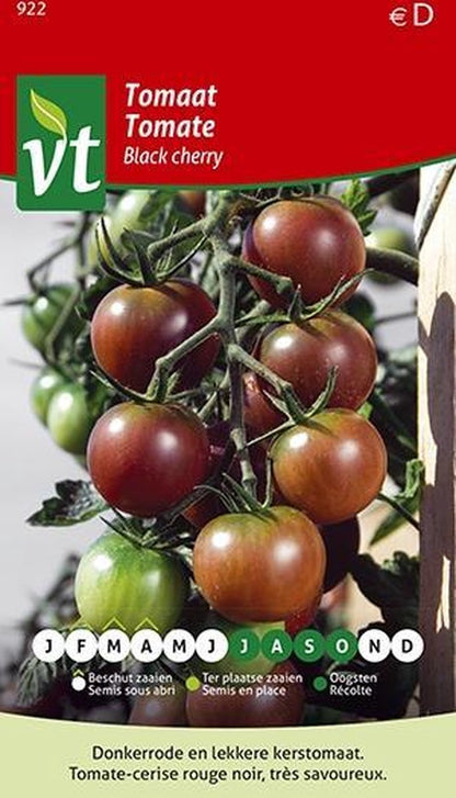  Tomaat Black Cherry - Een Excellente, Sappige Variëteit Met Een Zoete Smaak.