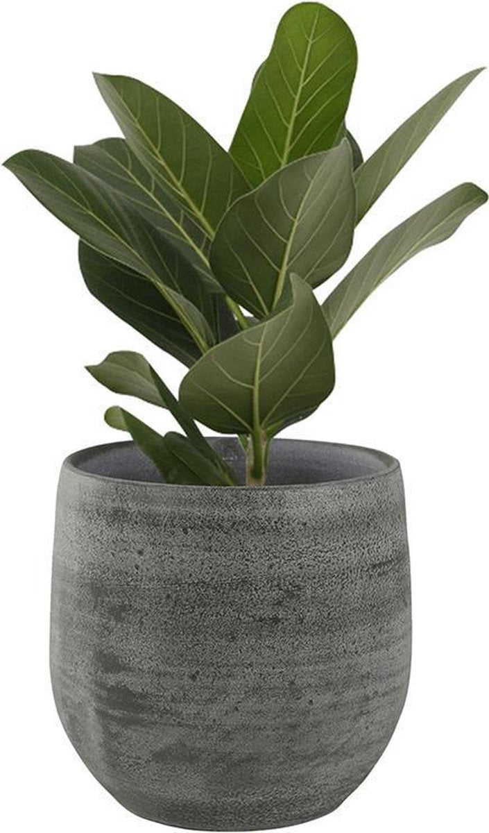  Pot Esra Mystic Grey Bloempot Binnen 15 Cm