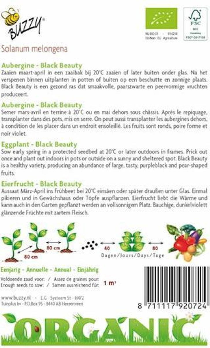  Buzzy Organic - Aubergine Black Beauty BIO