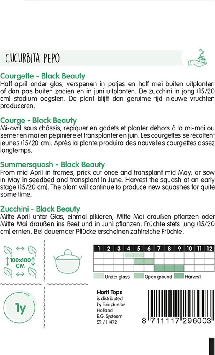  Hortitops Zaden - Courgette Black Beauty - Verte De Milan