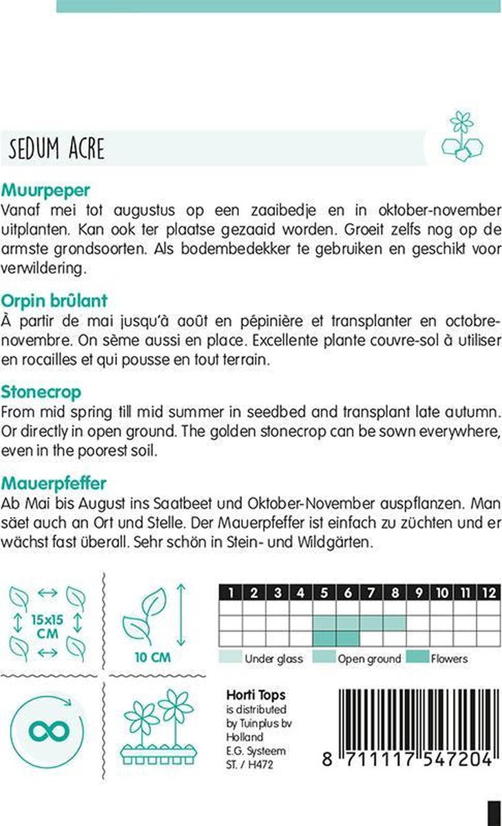  Hortitops Zaden - Muurpeper Bloemzaad - Sedum Acre - Geel