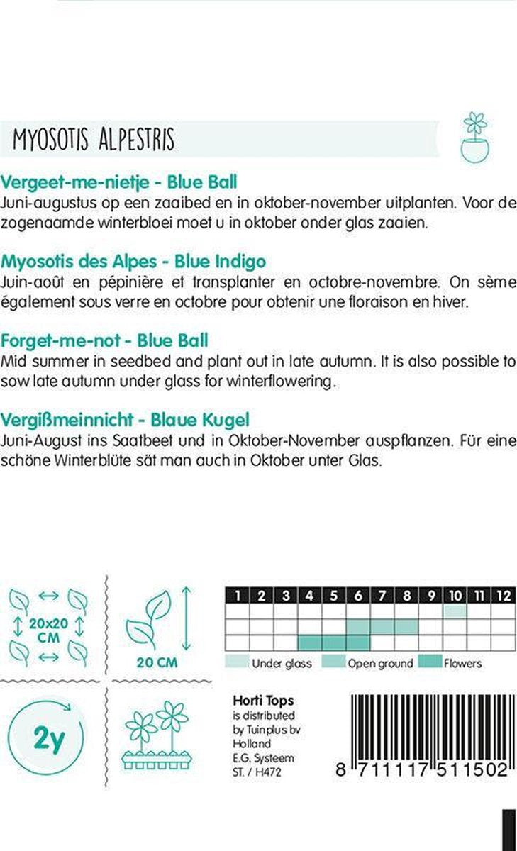  Hortitops - Vergeet-Me-Nietje Bloemzaad - Myosotis Alpestris - Blue Ball