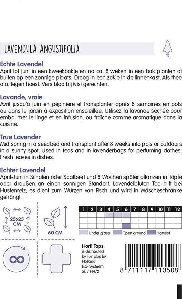  Hortitops - Echte Lavendel - Lavandula Officinalis