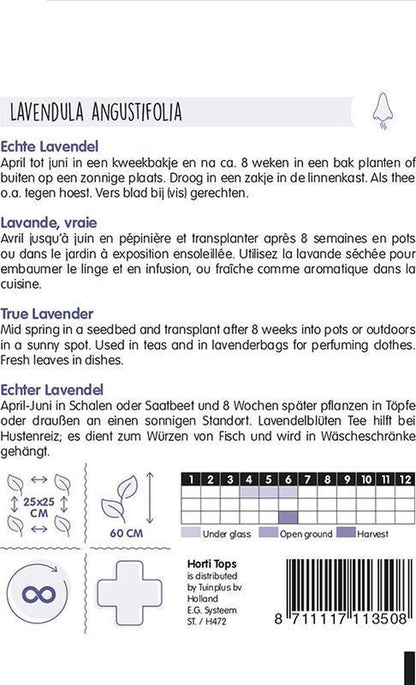  Hortitops - Echte Lavendel - Lavandula Officinalis