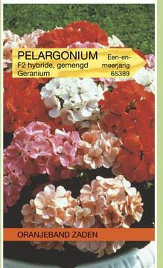  Oranjebandzaden - Pelargonium, Geranium F2 Gemengd