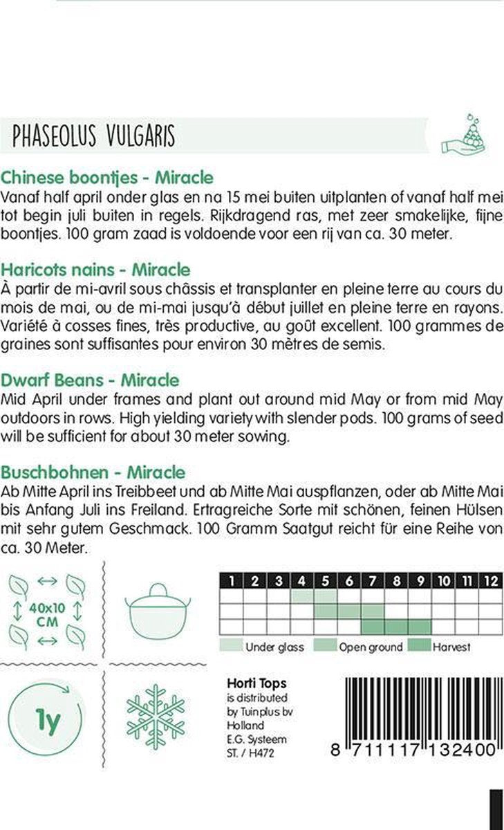  Hortitops Zaden - Struikprinsessenbonen Miracle Chinese Boontjes 25 Gram