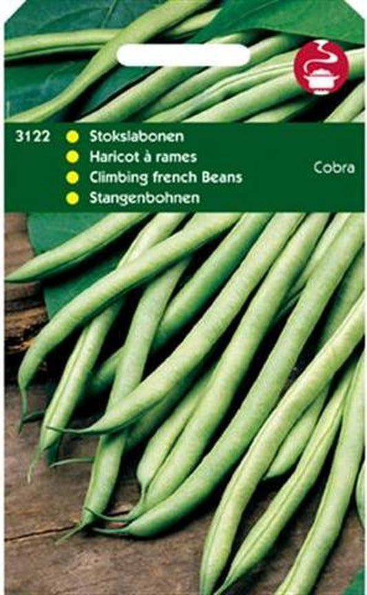  Hortitops Zaden - Stokslabonen Cobra