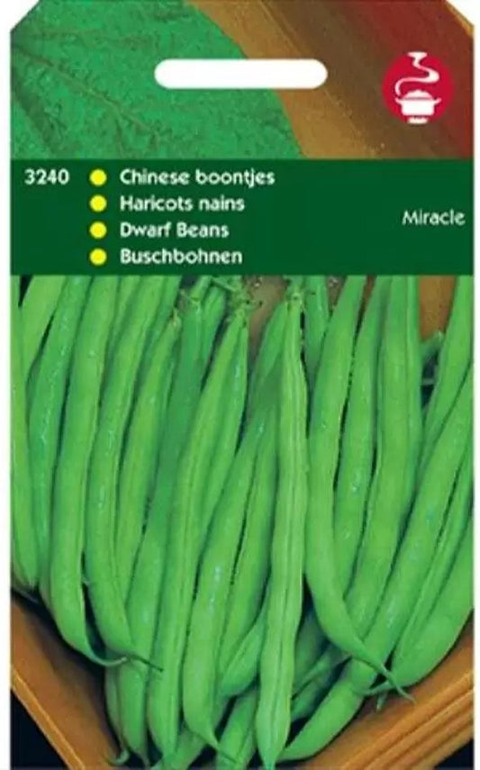  Hortitops Zaden - Chinese Boontjes Miracle