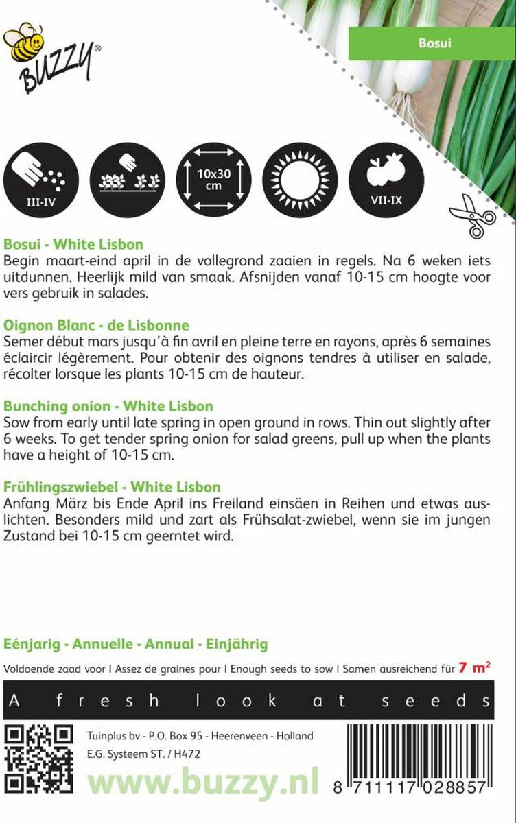  Buzzy Zaden - Bosuien White Lisbon (Allium)