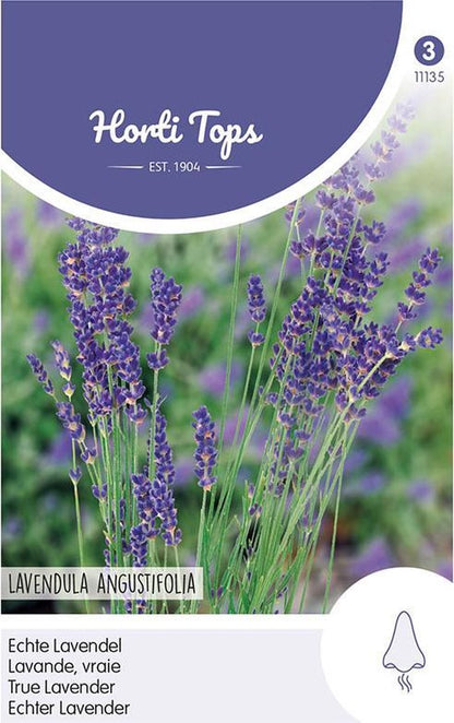  Hortitops - Echte Lavendel - Lavandula Officinalis