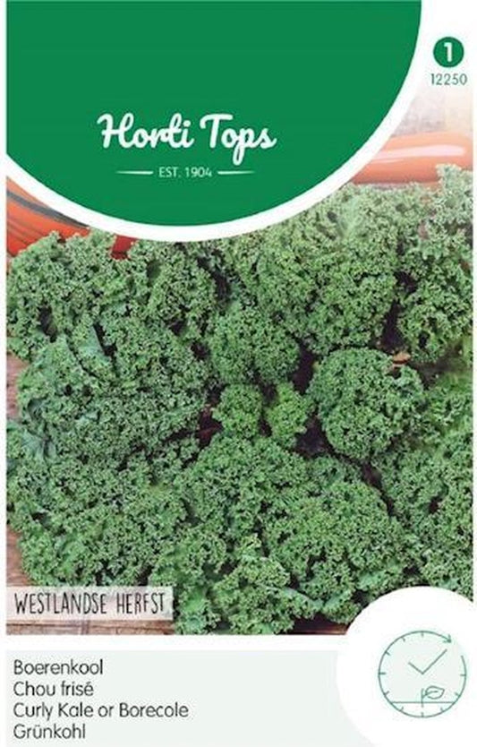  Hortitops Zaden - Boerenkool Westlandse Herfst, Laat Type