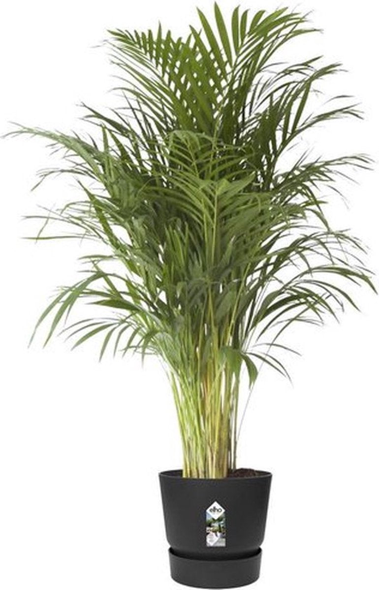  Elho Greenville Rond 40 - Grote Bloempot Voor Buiten - Gemaakt Van Gereycled Plastic - Ø 39.0 X H 36.8 Cm - Living Black