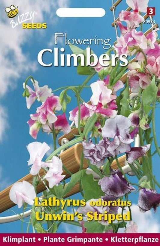  Buzzy Flowering Climbers Lathyrus Unwin's Striped Bloemzaad
