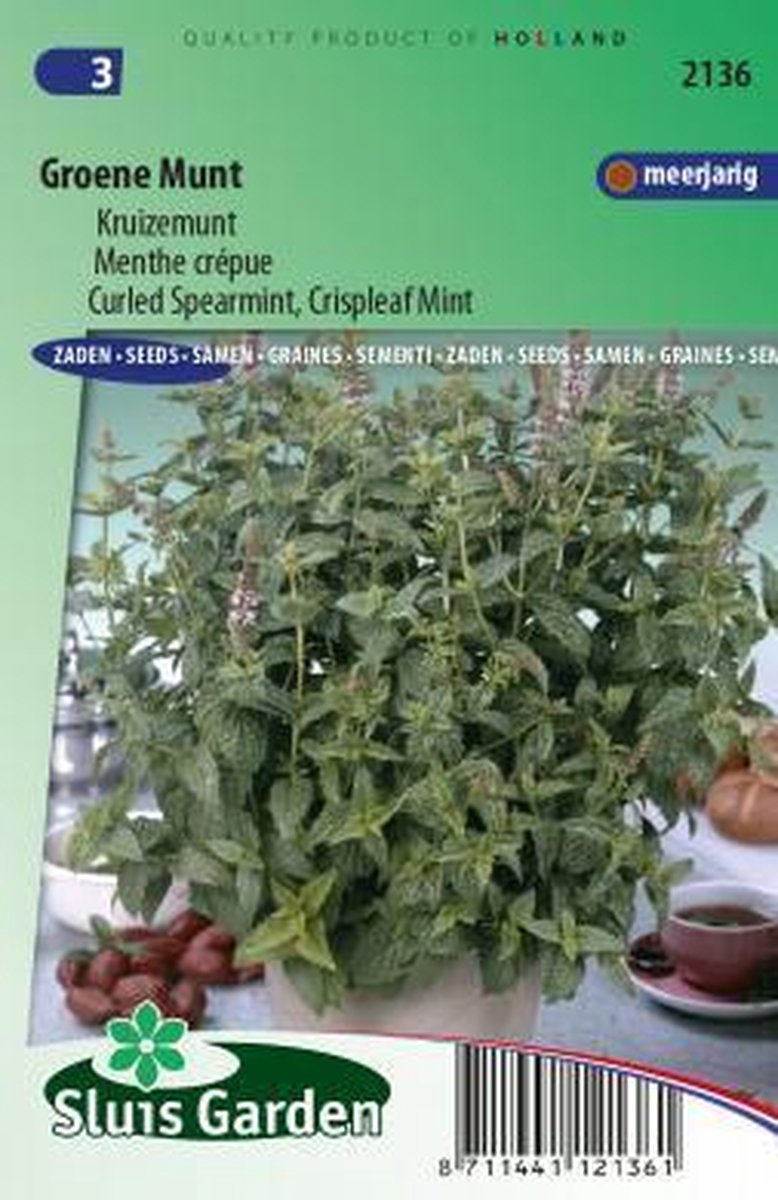  Sluis Garden - Groene Munt, Kruizemunt (Mentha Spicata Crispa)