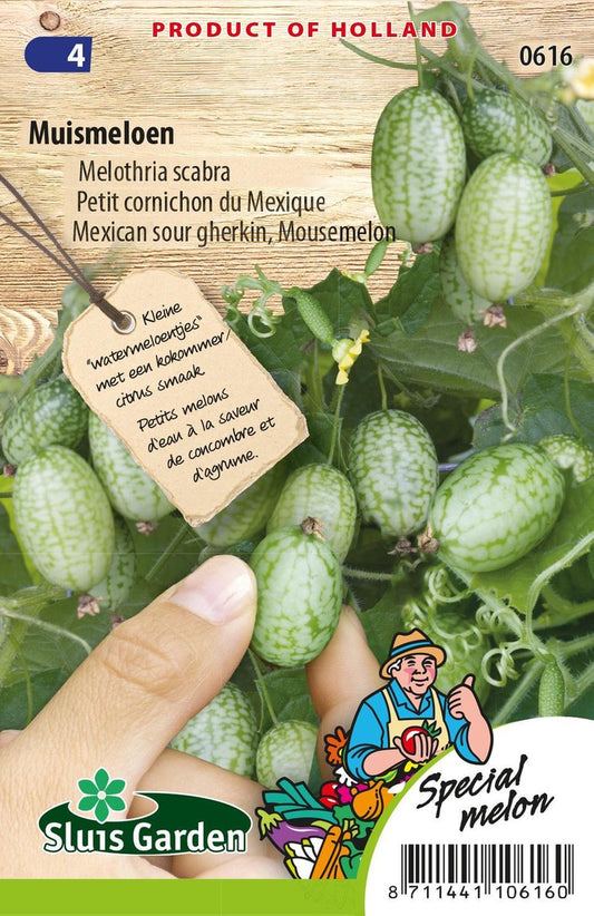  Sluis Garden - Muismeloen (Melothria Scabra)
