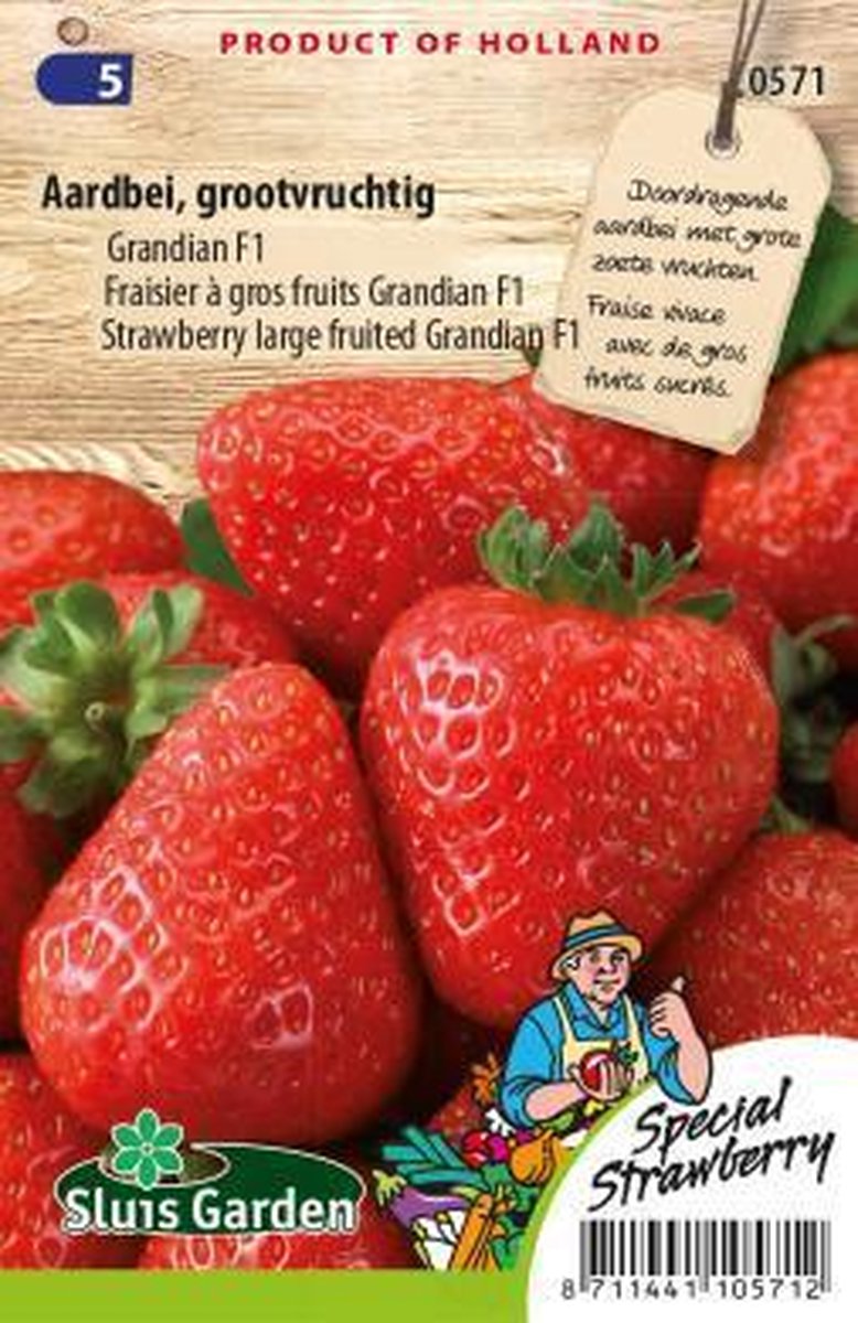  Sluis Garden - Aardbei Grandian F1