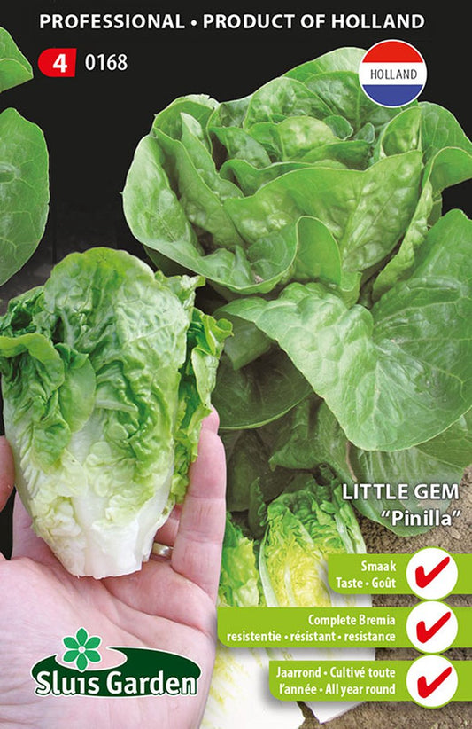  Sluis Garden - Groentezaad - Little Gem Pinilla