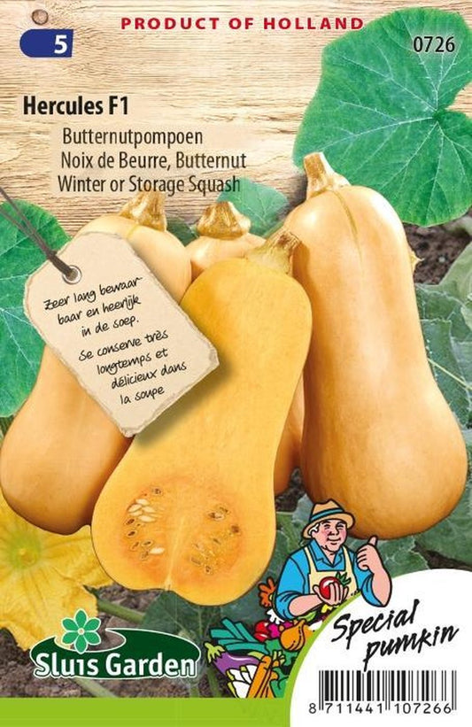  Sluis Garden - Flespompoen Hercules F1