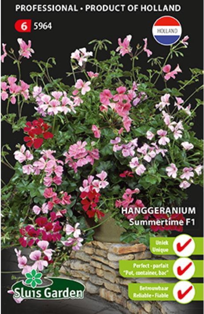  Sluis Garden - Hanggeranium Summertime F1 (Pelargonium)