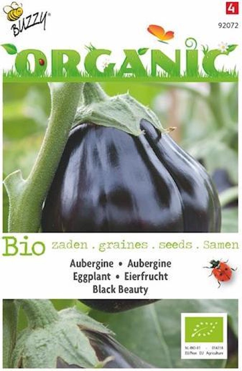  Buzzy Organic - Aubergine Black Beauty BIO
