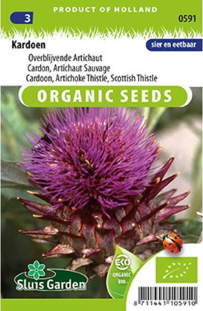  Sluis Garden - Kardoen BIO (Cynara Cardunculus)