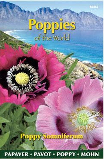  Buzzy® Poppies Of The World - Papaver Slaapbol