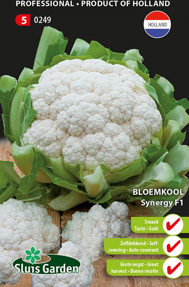  Sluis Garden - Groentezaden - Bloemkool Synergy F1