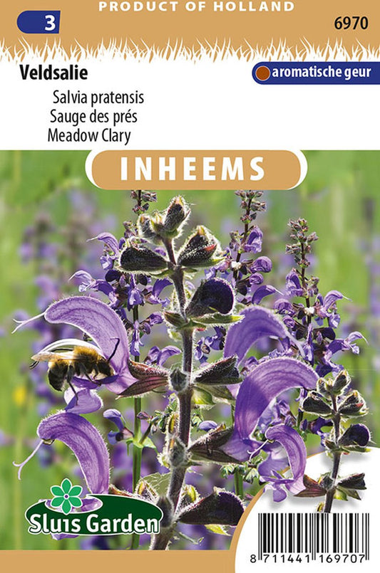  Sluis Garden - Inheemse Bloemenzaden - Veldsalie - Salvia Pratensis - Geproduceerd In Nederland