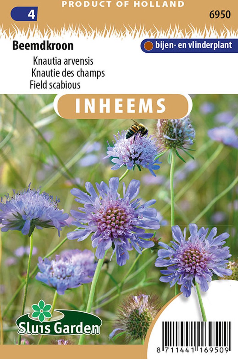  Sluis Garden - Inheemse Bloemenzaden - Beemdkroon - Geproduceerd In Nederland