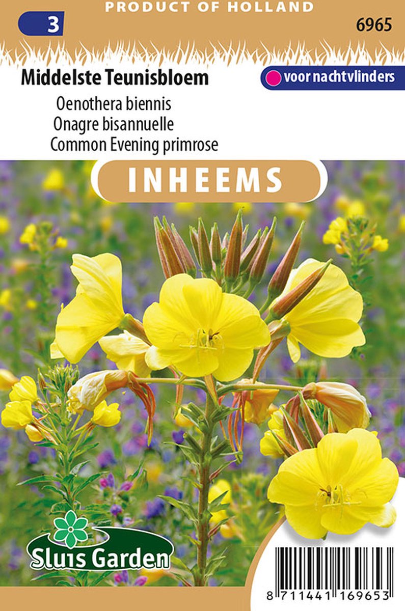  Sluis Garden - Inheemse Bloemenzaden - Middelste Teunisbloem - Geproduceerd In Nederland