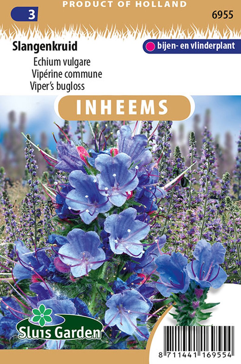  Sluis Garden - Inheemse Bloemenzaden - Slangenkruid - Geproduceerd In Nederland